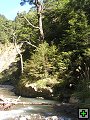 thn_NZ leden-unor 2006 223.jpg